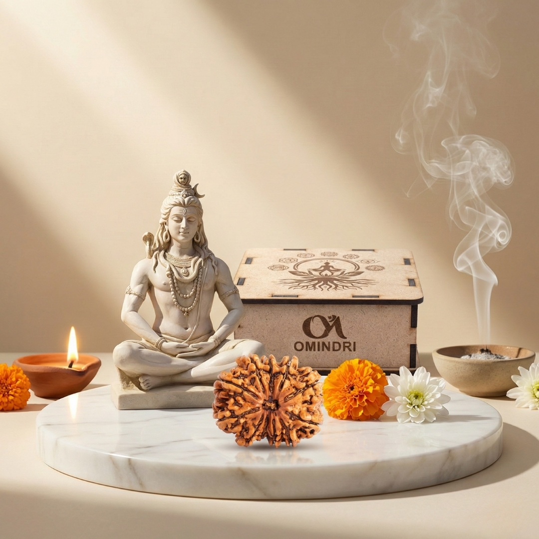 12 Mukhi Lab Certified Rudraksha